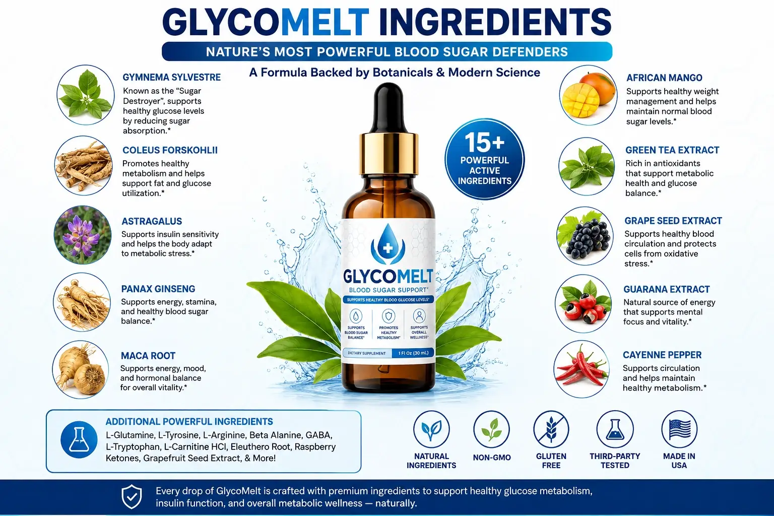 GlycoMelt benefits visual overview