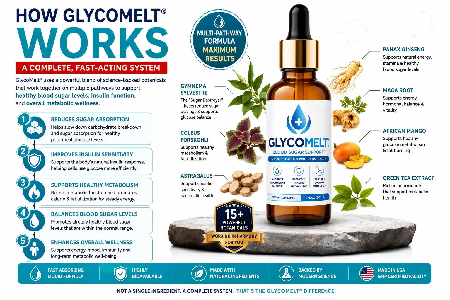 How GlycoMelt works visual overview